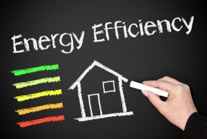 Energy Efficiency House
