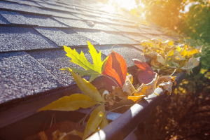 Preventing water intrusion by cleaning out gutters